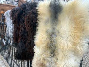 Sheepskins - Natural sheepskin - adam-leather-sheepskins