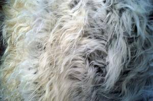 Sheepskins - Melerade - beautiful-melerade-sheepskin