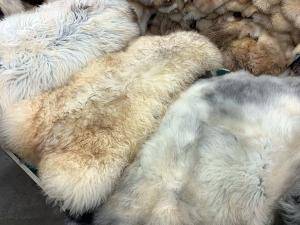 Sheepskins - Natural sheepskin - eco-natural-sheepskins-adam-leather