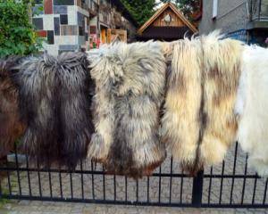 Sheepskins - Natural sheepskin - natural-sheepskins-adam-leather
