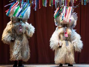 Sheepskins - Sheepskin for costume - Kurent/Korant character - dtd76-sloveniannationalhomecleveland26361364428