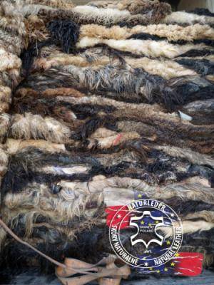Sheepskins - Raw hides, salted sheepskins - raw-hides-melerade-adam-leather