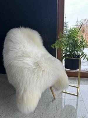 Sheepskins - Holland - 38554178467023621298745875371705234075362351n