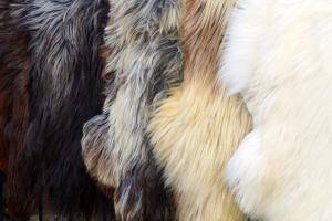 Sheepskins - Heidschnucke - 659839_heidschnucke-pretty-sheepskin