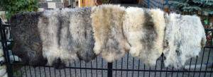 Sheepskins - Melerade - amazing-melerade-sheepskin