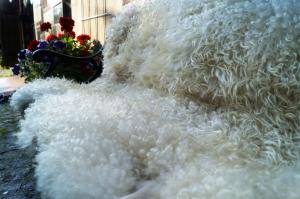 Sheepskins - Gotland - awesome-fluffy-sheepskin-gotland