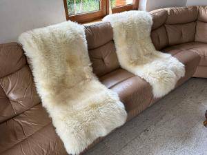 Sheepskins - Holland - b1