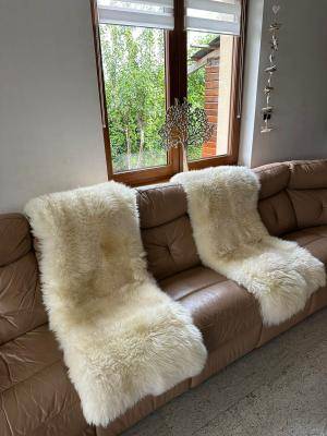 Sheepskins - Holland - b2