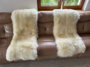 Sheepskins - Holland - b3