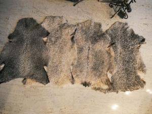 Sheepskins - Gotland - beauty-decorative-gotland