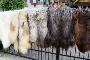 Sheepskins - Heidschnucke - beauty-heidschnucke-sheepskin
