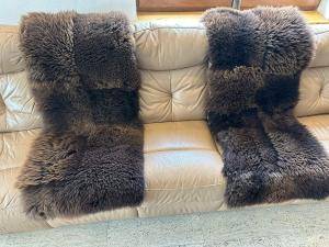 Sheepskins - Holland - br3