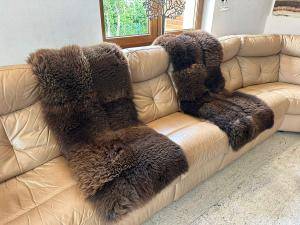 Sheepskins - Holland - br4