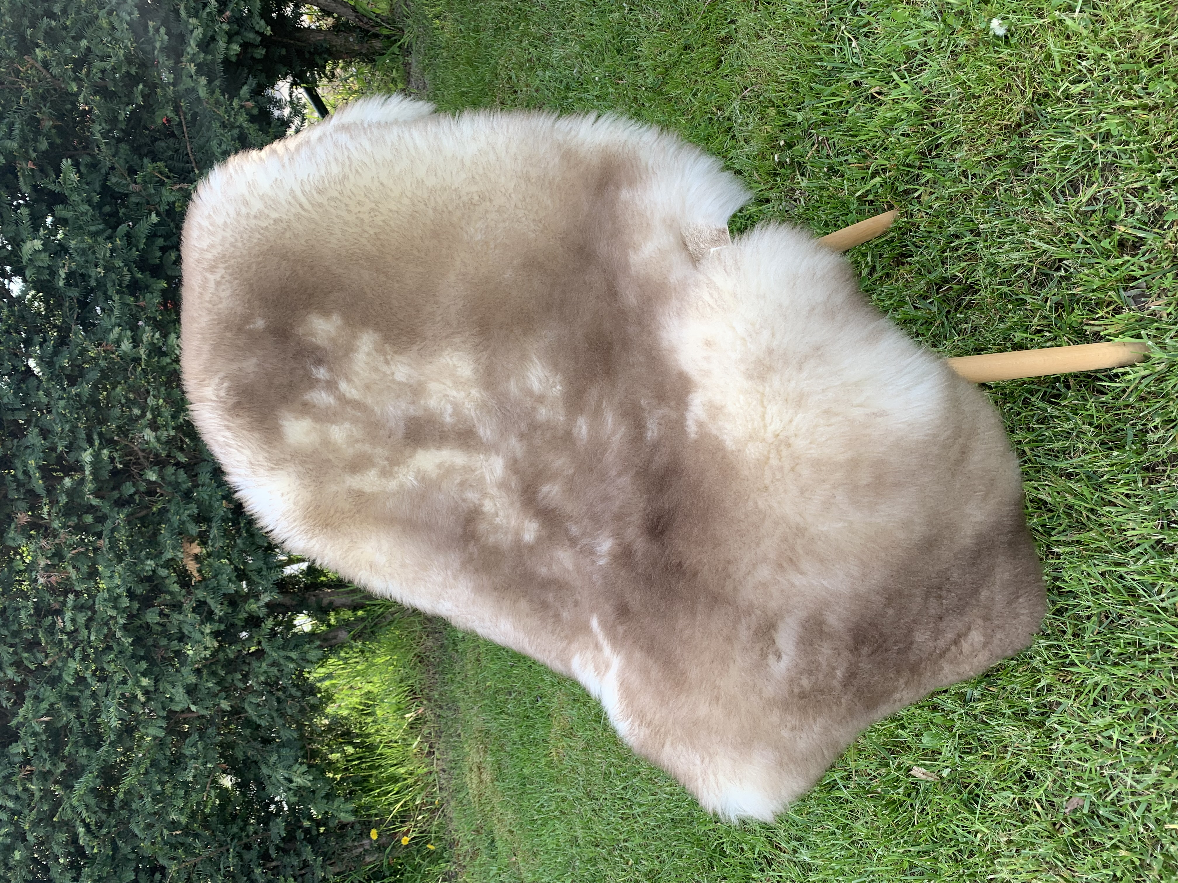 Sheepskins - Meliert - Cognac - cognac-meliert-sheepskins-adam-leather