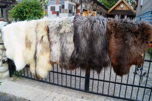 Sheepskins - Heidschnucke - decorative-heidschnucke-sheepskin