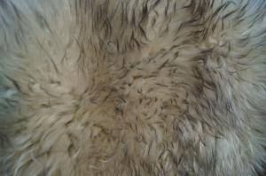 Sheepskins - Melerade - decorative-melerade-sheepskin