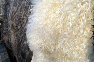 Sheepskins - Gotland - fluffy-gotland-sheepskin