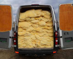 Sheepskins - Relugan - glamorous-relugan-sheepskin