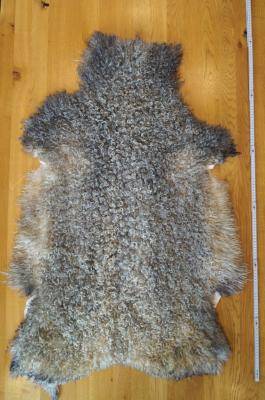 Sheepskins - Gotland - gotland-sheep-sheepskin-eco-adam-leather