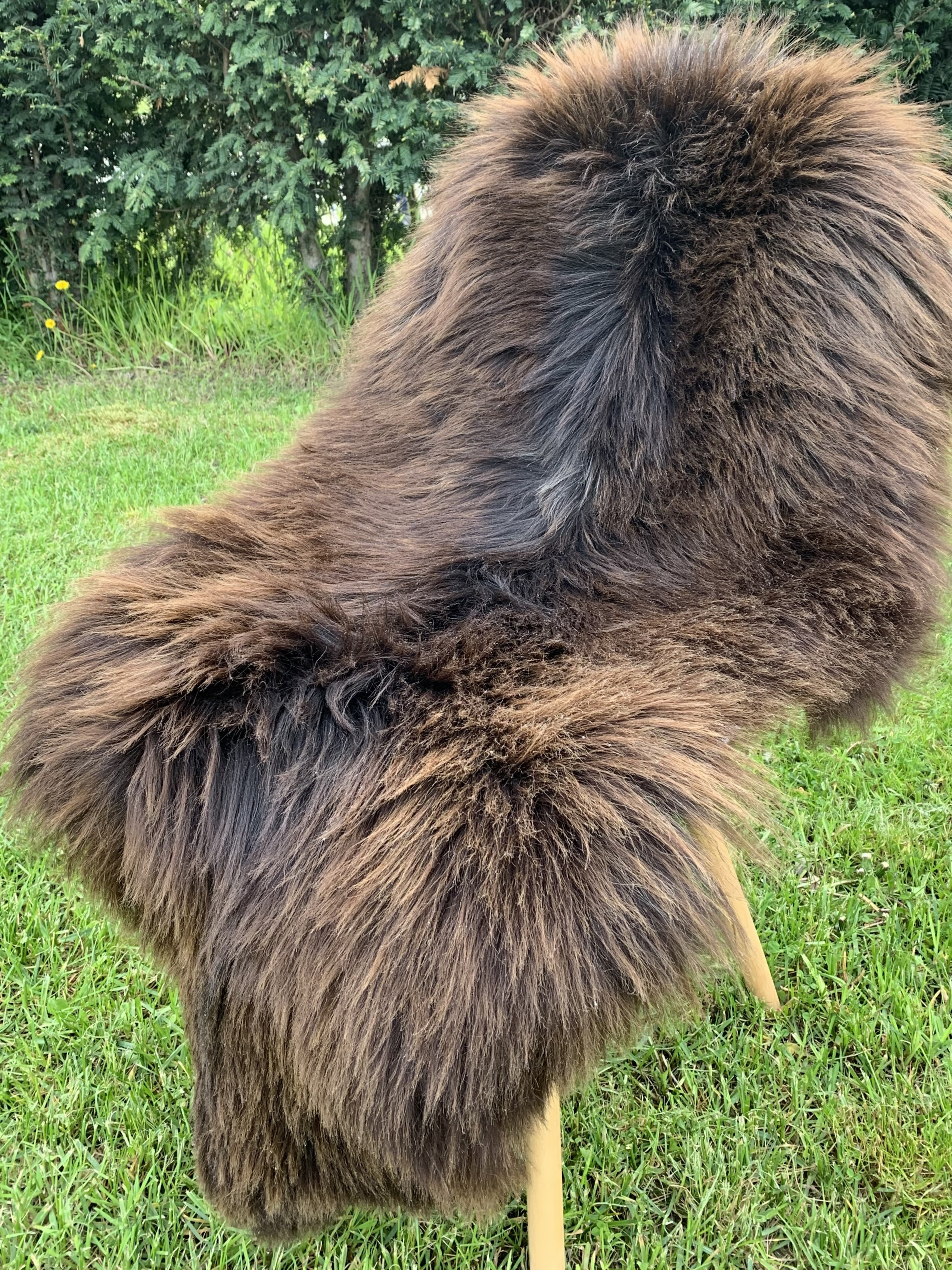 Sheepskins - Heidschnucke - heide