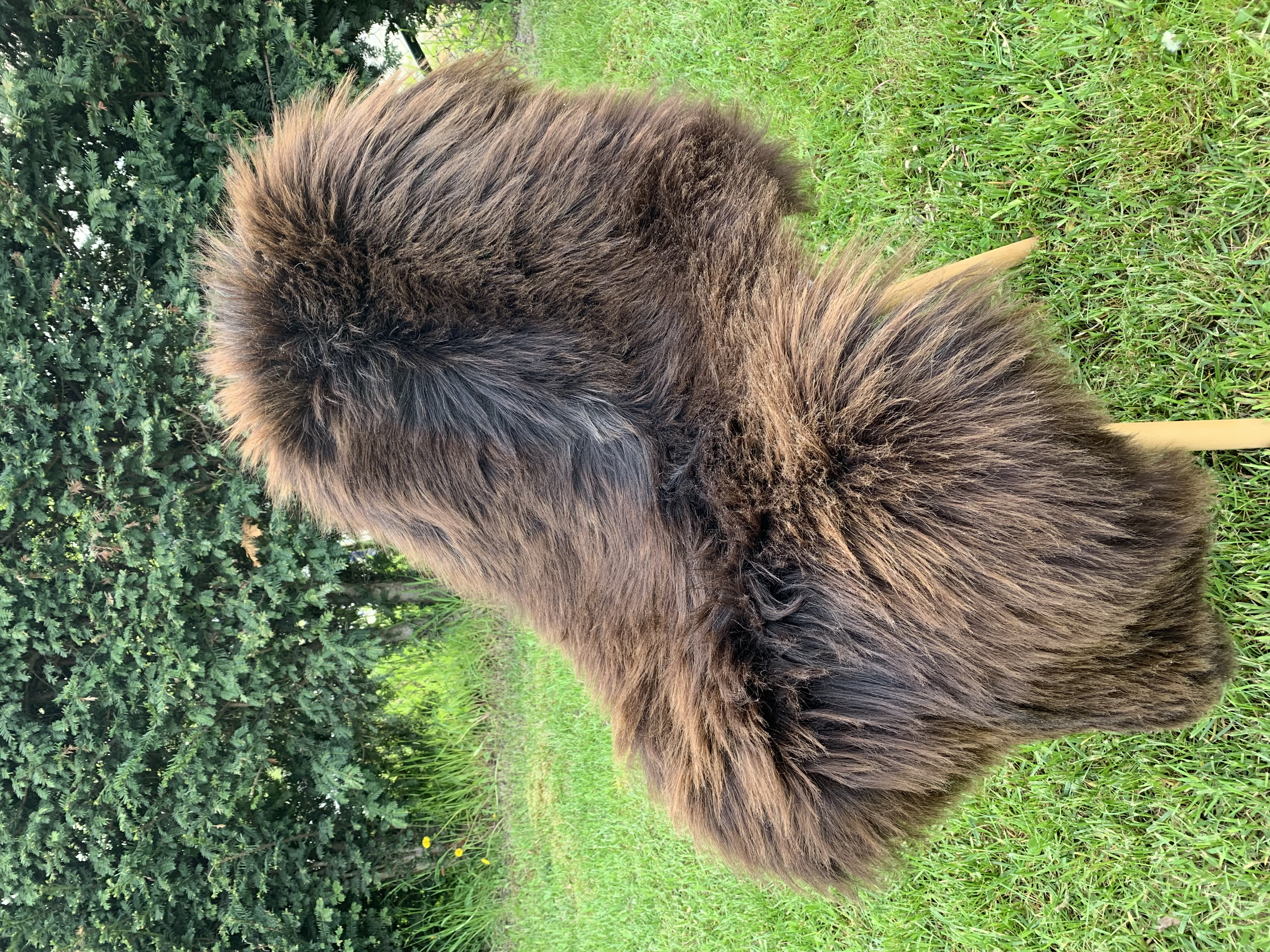 Sheepskins - Heidschnucke - heidschnucke-adam-leather-sheepskin