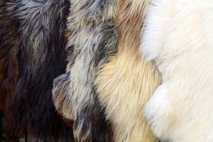 Sheepskins - Heidschnucke - heidschnucke-pretty-sheepskin