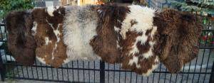 Sheepskins - Holland - holland-sheepskin-natural-texel