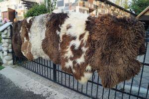 Sheepskins - Holland - holland-texel-original-sheepskin