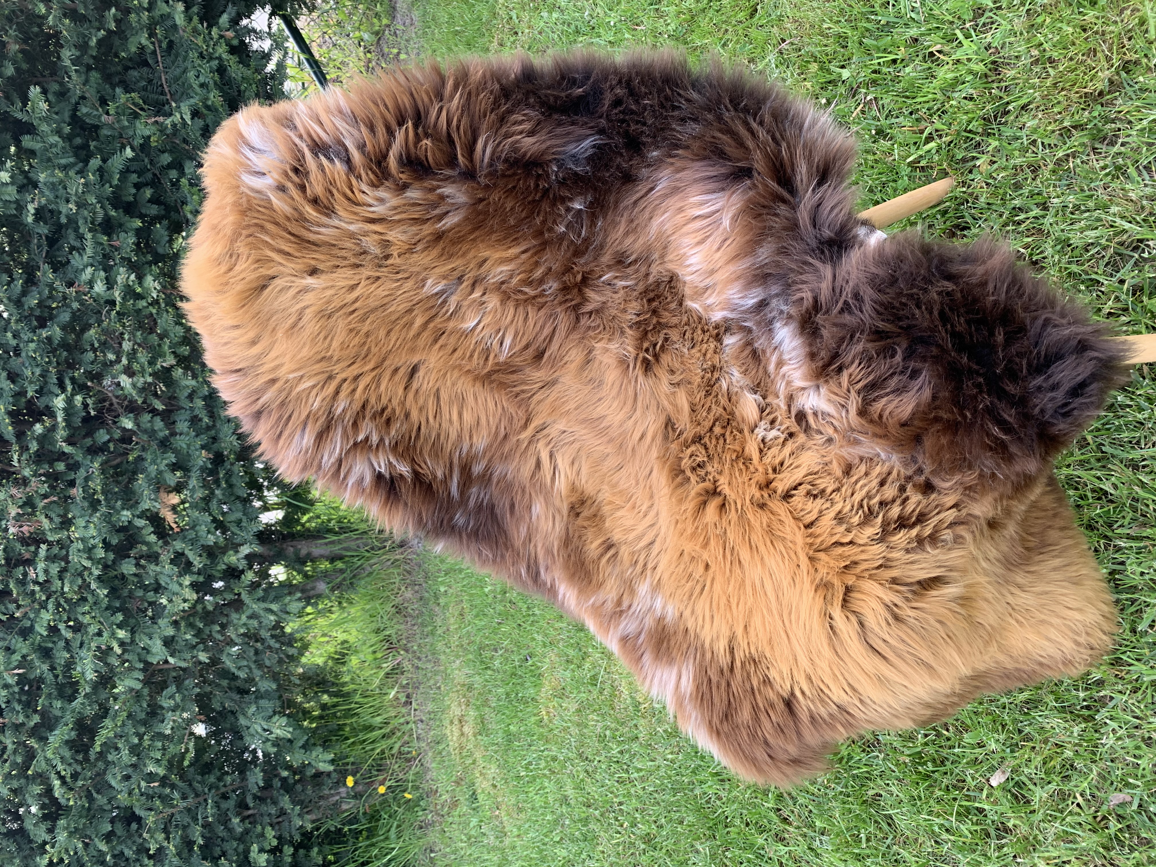 Sheepskins - Swedish - hot-chilli-pepers-swedish-sheepskins-adam-leather