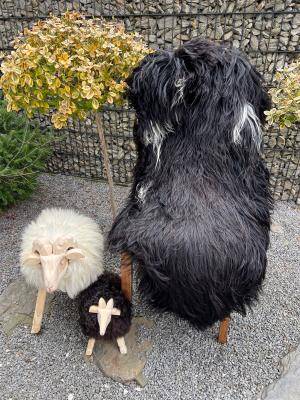 Sheepskins - Icelandic - img1467