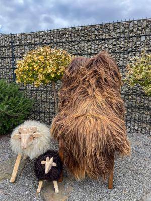 Sheepskins - Icelandic - img1492