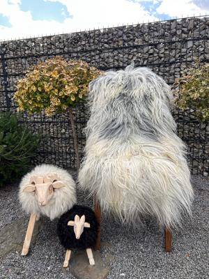Sheepskins - Icelandic - img1505