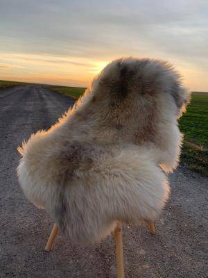 Sheepskins - Melerade - latte-melerade-sheepskin-adam-leather