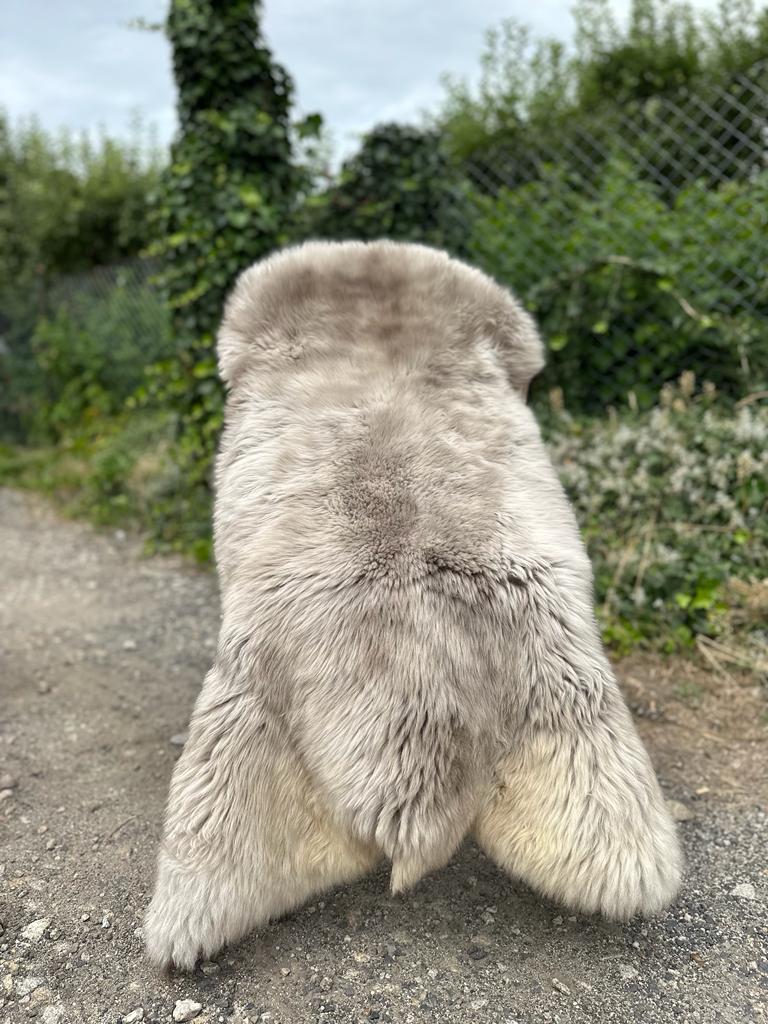 Sheepskins - Meliert - Cookies - meliert-cookies-sheepskins-adam-leather