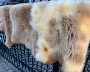 Sheepskins - Natural sheepskin - meliert-natural-sheepskin-adam-leather