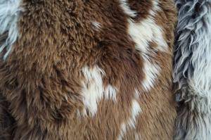 Sheepskins - Holland - natural-carpet-holland-sheepskin-texel
