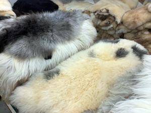 Sheepskins - Natural sheepskin - natural-eco-sheepskins-adam-leather