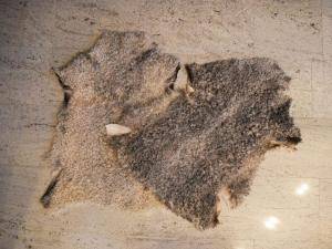 Sheepskins - Gotland - natural-sheepskin-carpet