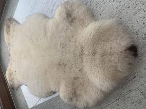 Sheepskins - Meliert - Cookies - original-meliert-cookies-sheepskin