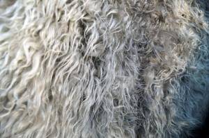 Sheepskins - Melerade - pretty-melerade-sheepskin