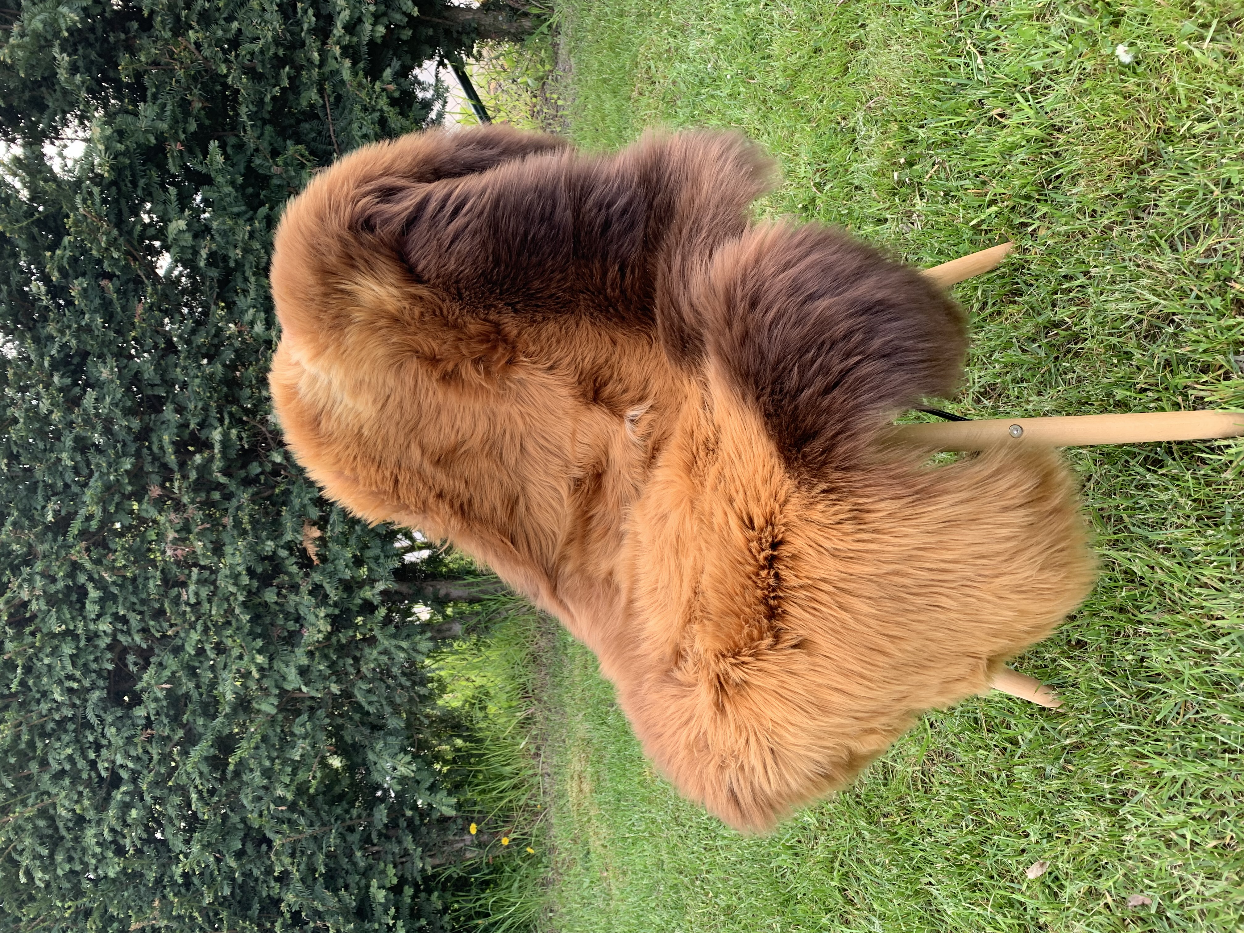 Sheepskins - Swedish - red-hot-chili-pepers-sheepskins-adam-leather