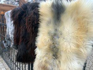 Sheepskins - Heidschnucke - sheepskins-heidschnucke-poland-adam-leather