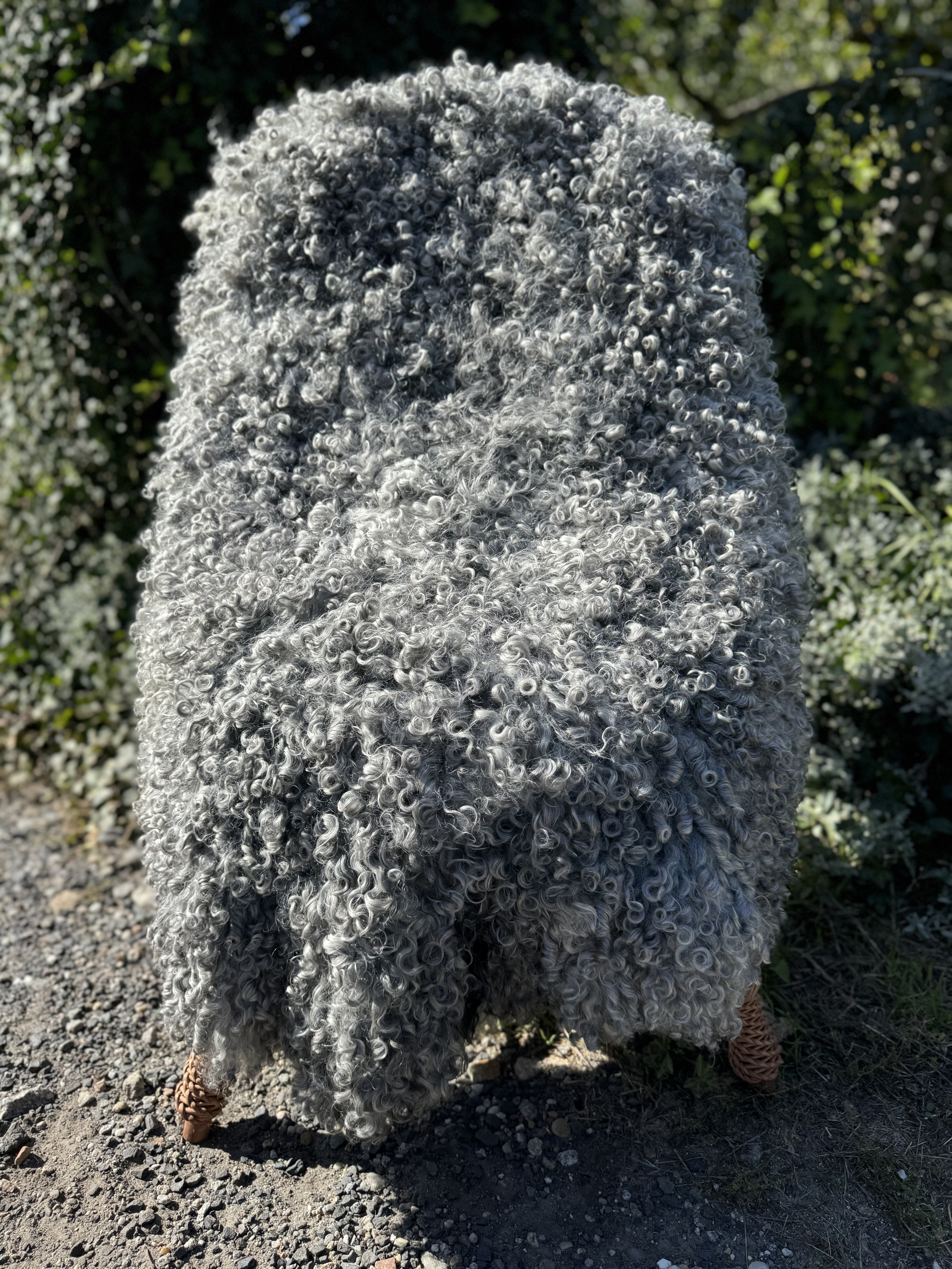 Sheepskins - Gotland - skra-owcza-gotland-sheepskin-schapenvacht-peau-de-mouton-frskinn-ovia-koa-ov-ke-gotlandsk2