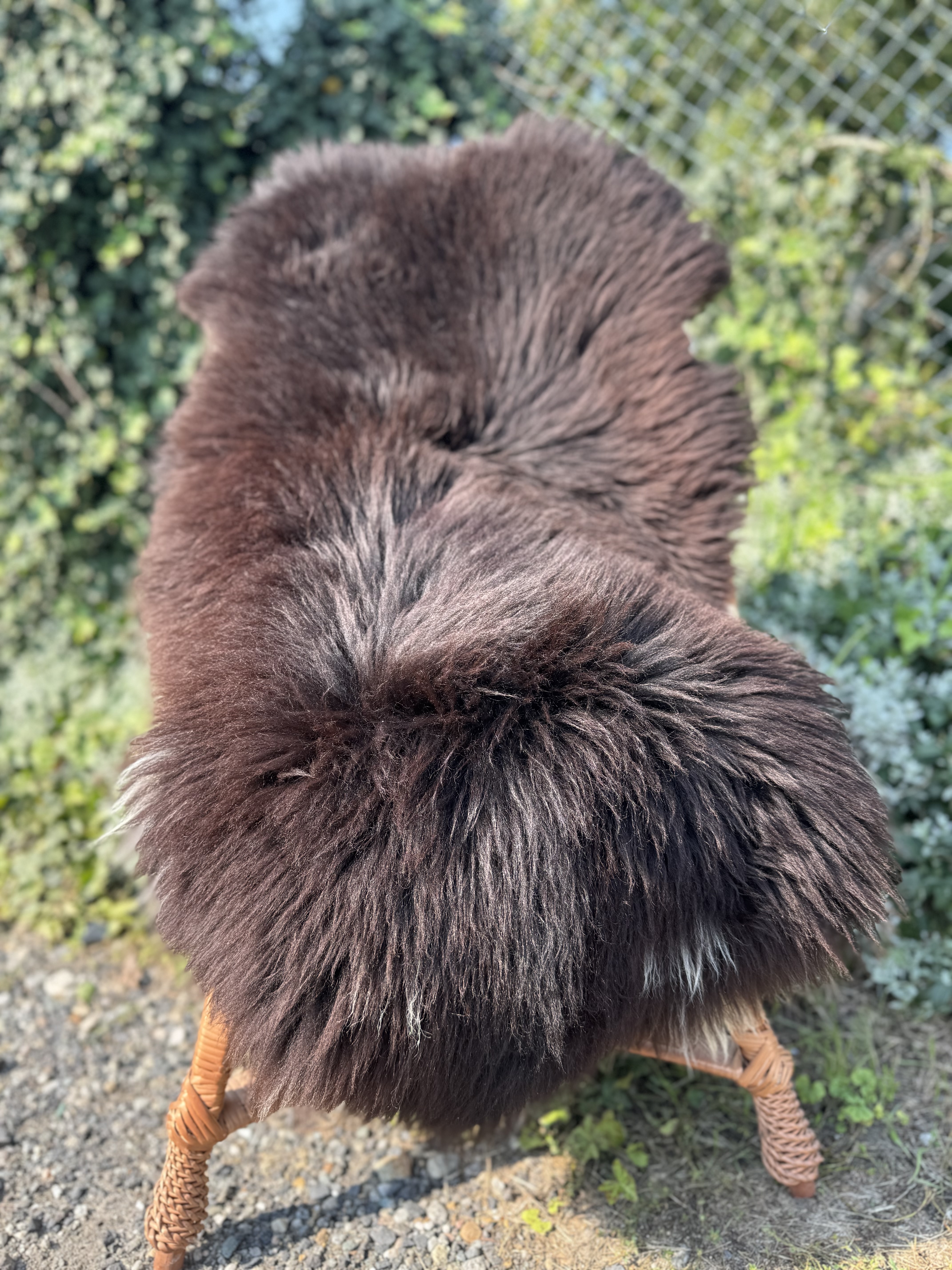 Sheepskins - Heidschnucke - skry-owcze-heidschuncke-sheepskin-schapenvacht-peau-de-mouton-frskinn-ovia-koa-ov-ke1