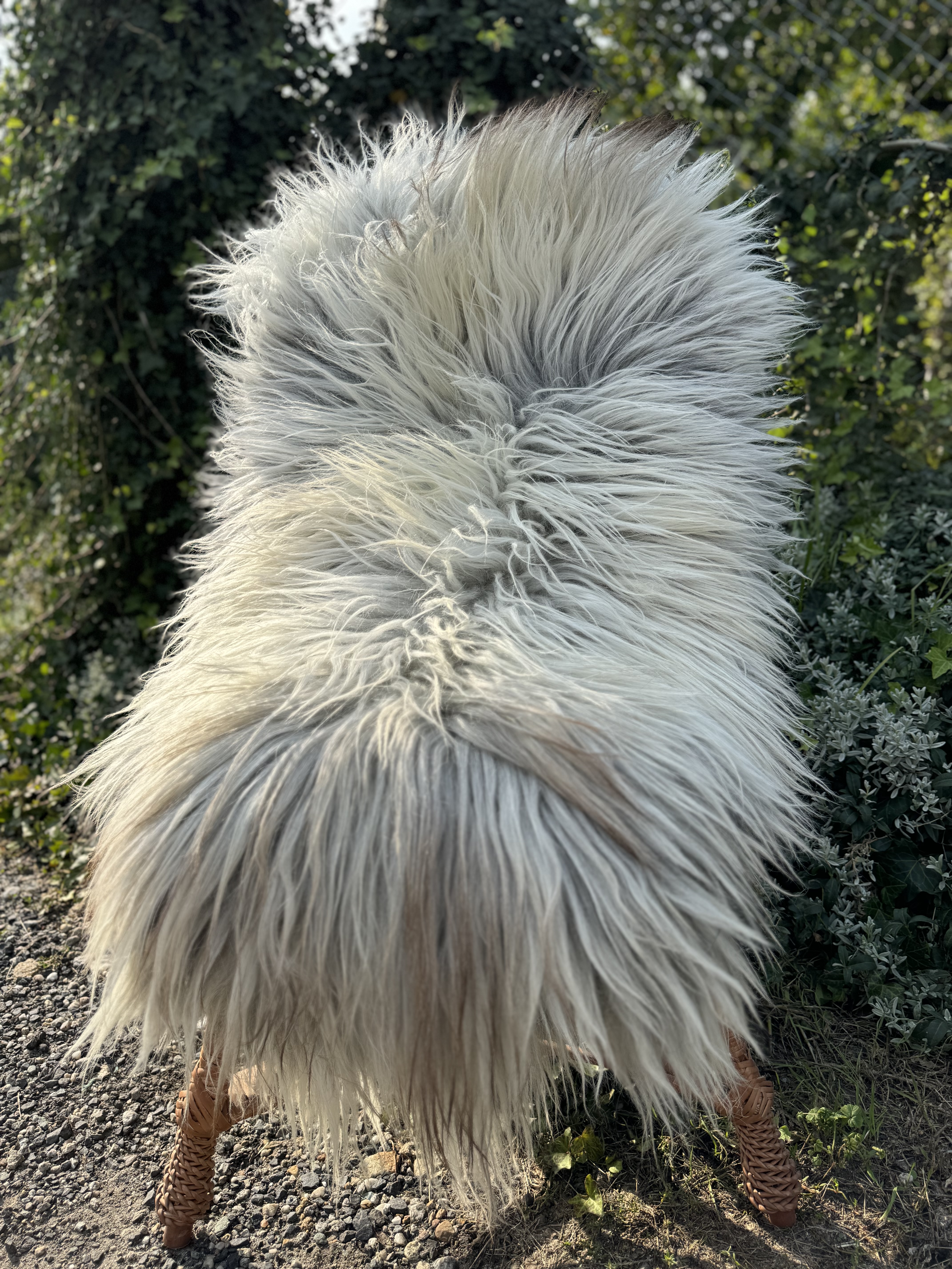 Sheepskins - Heidschnucke - skry-owcze-heidschuncke-sheepskin-schapenvacht-peau-de-mouton-frskinn-ovia-koa-ov-ke2