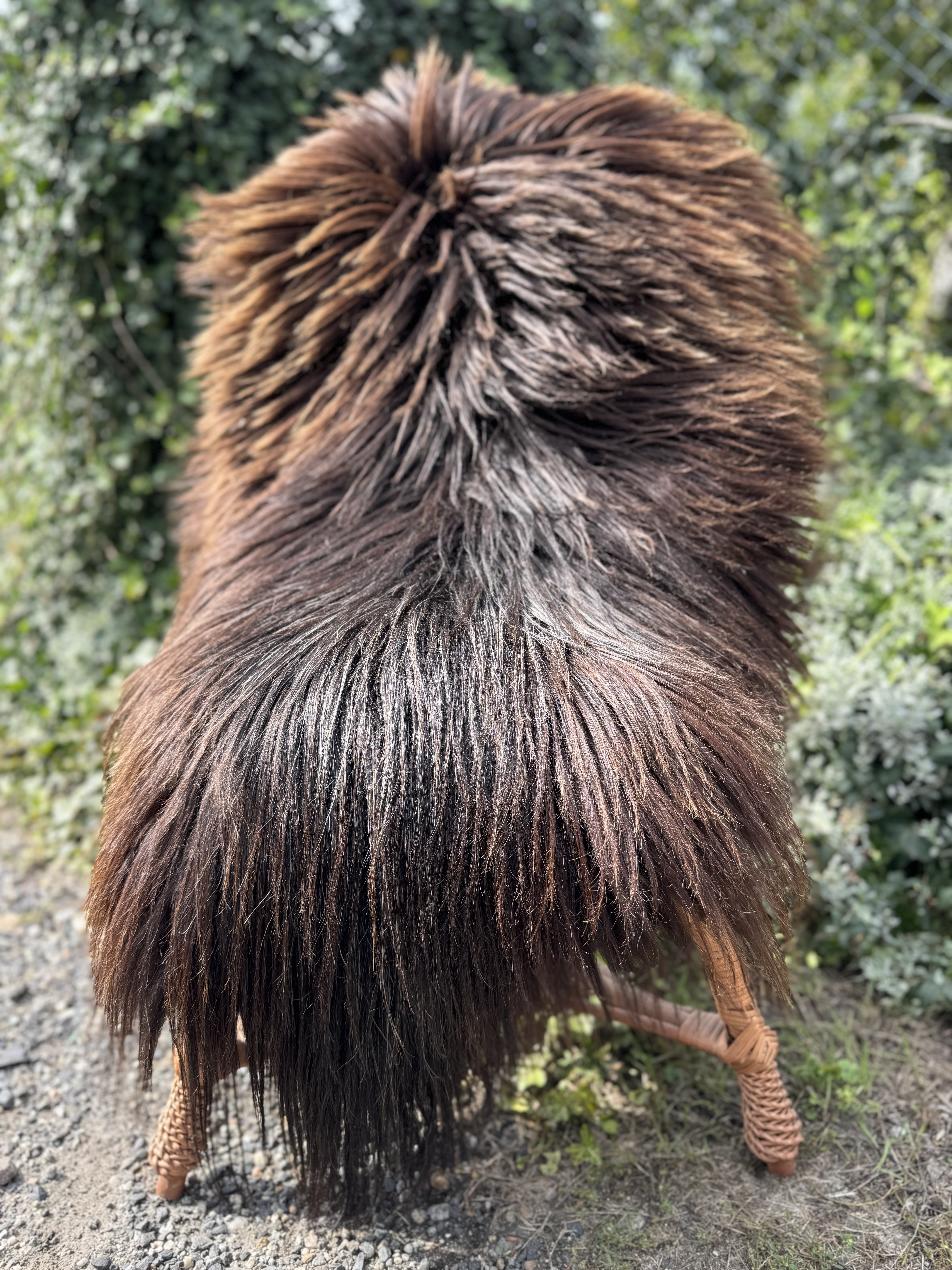 Sheepskins - Heidschnucke - skry-owcze-heidschuncke-sheepskin-schapenvacht-peau-de-mouton-frskinn-ovia-koa-ov-ke3