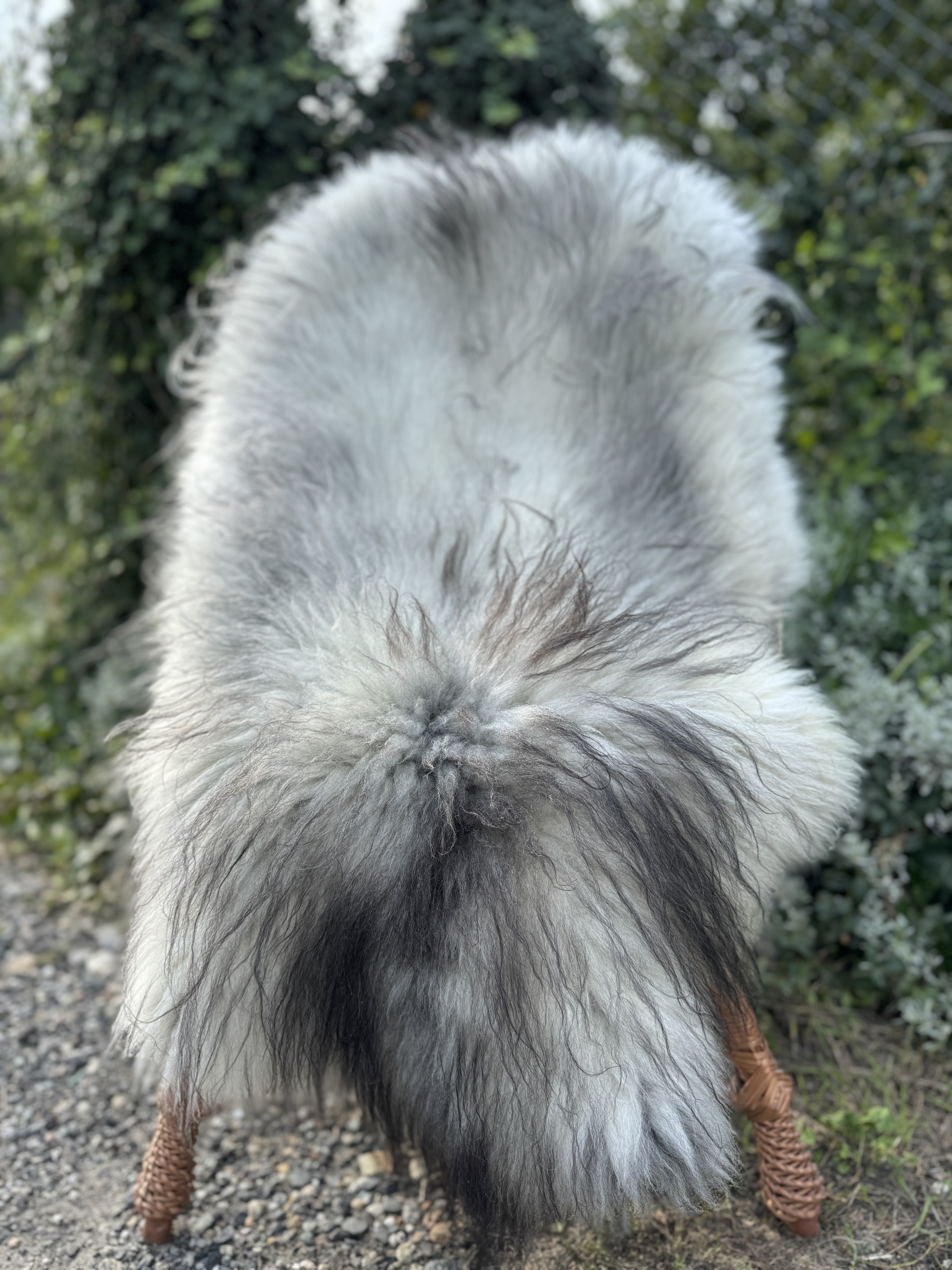 Sheepskins - Melerade - skry-owcze-melerade-sheepskin-schapenvacht-peau-de-mouton-frskinn-ovia-koa-ov-ke-melerade1