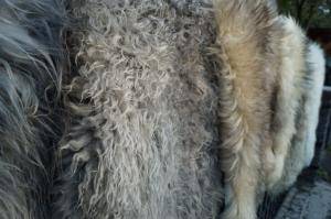 Sheepskins - Melerade - stunning-melerade-sheepskin