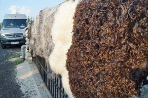 Sheepskins - Swedish - swedish-sheepskins1