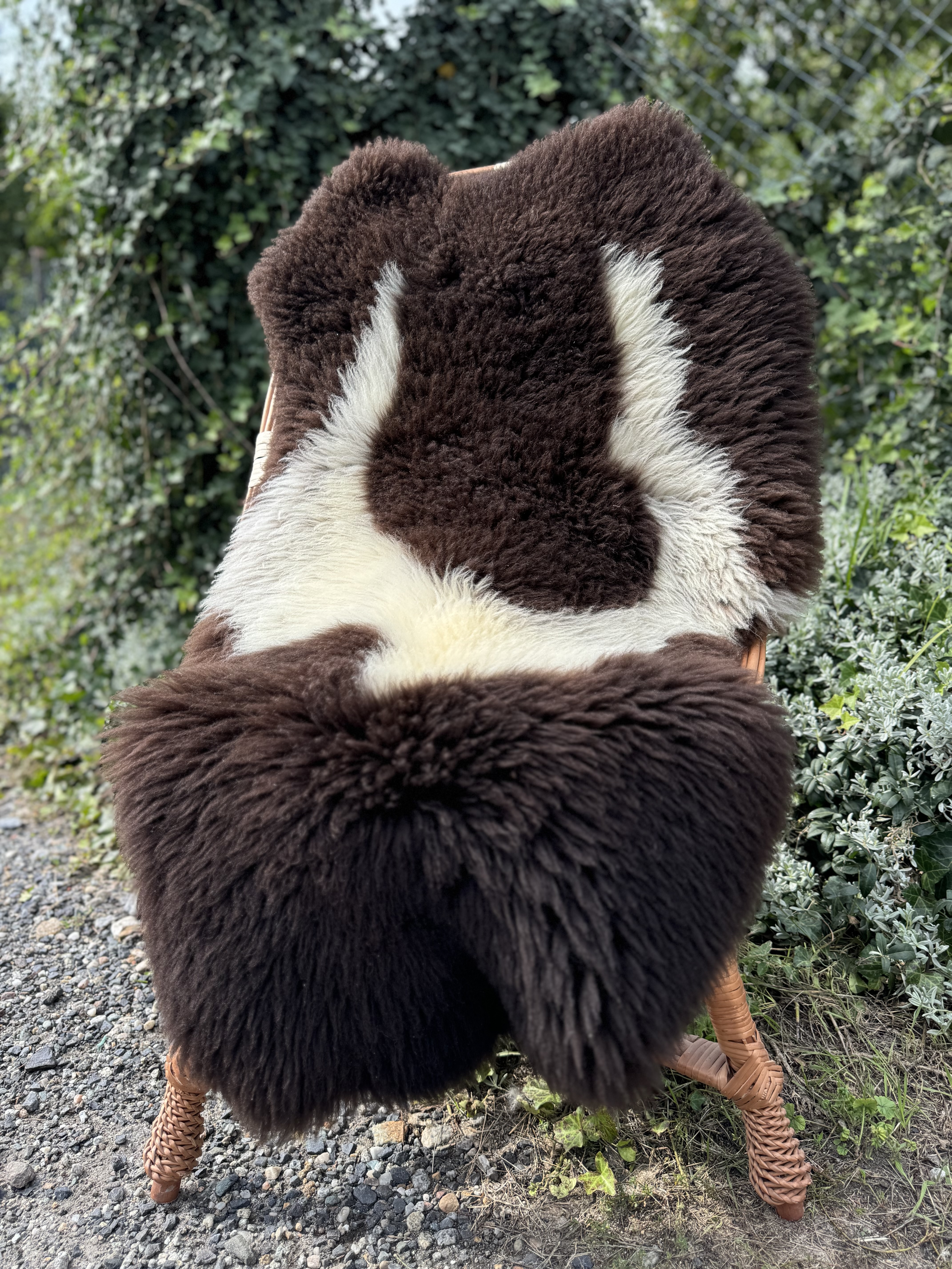 Sheepskins - Swedish - szwedzkie-skry-owcze-swedish-sheepskins-schwedische-schaffelle-zweedse-schapenvachten-peaux-de-mouton-sudoises1